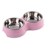 Colorful Double Dog Bowl