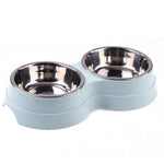 Colorful Double Dog Bowl