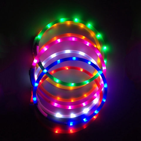 LED Dog Collar With USB Charging!