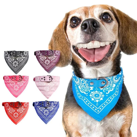 Super Cool Neckerchief Collar