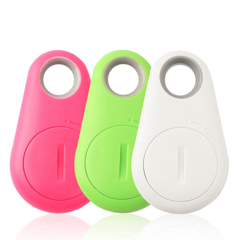 GPS Tracking Key Chain For Your Pet Collar