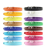 Vibrant One Colored Leashes